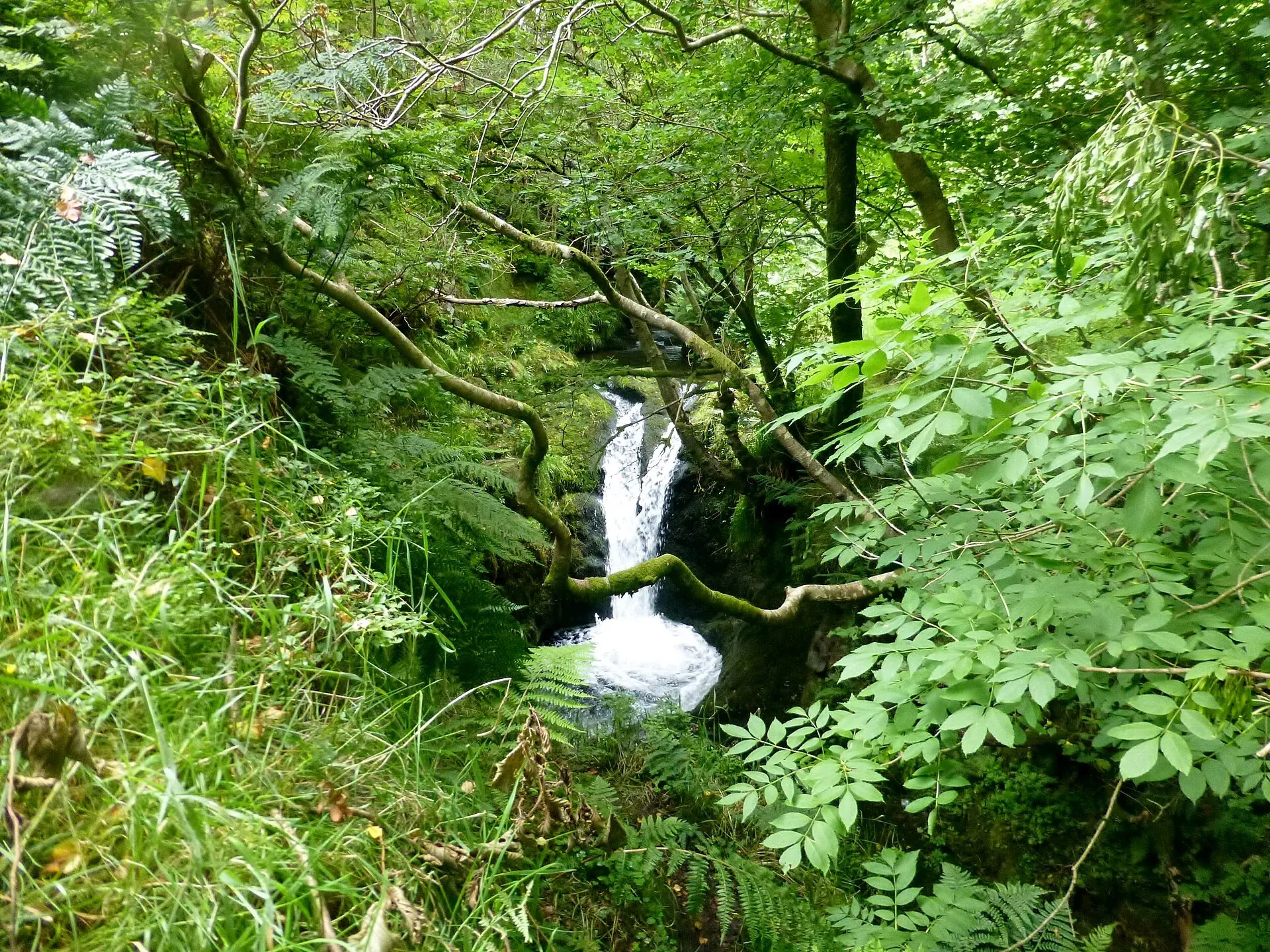 Waterfall flowing between mossy rocks and leafy trees in Dollar Glen