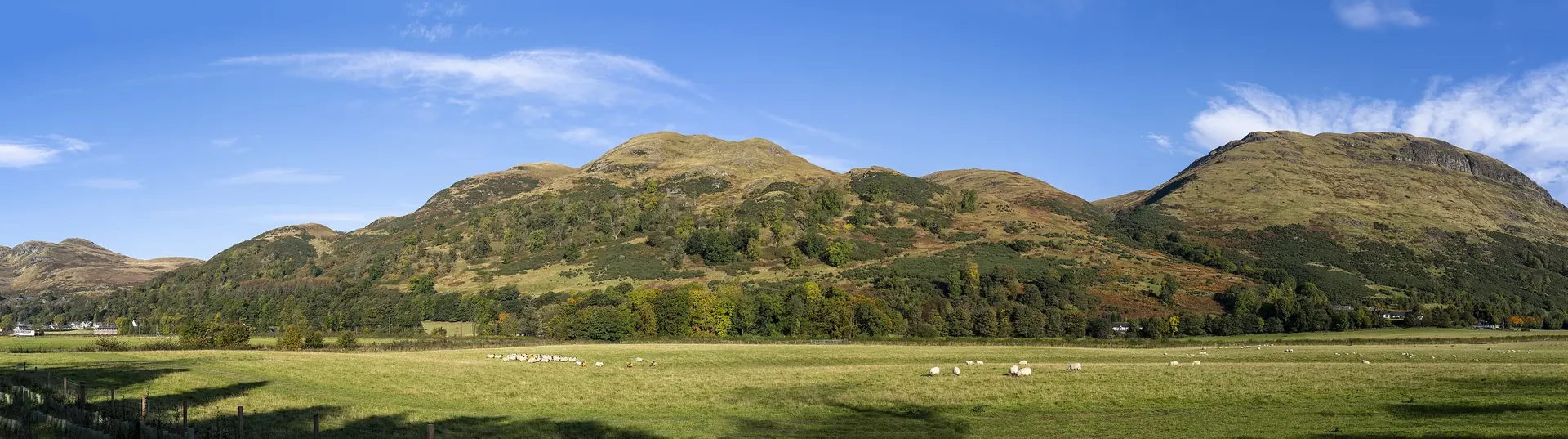 Autumn-coloured Ochil Hills above green fields and grazing sheep beneath a blue sky
